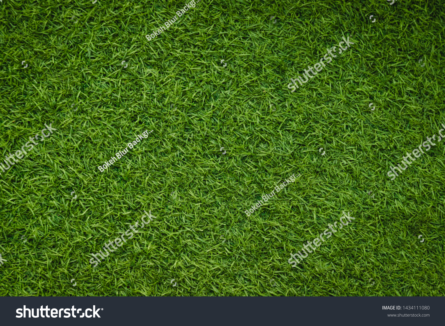 Green artificial grass natural background #1434111080