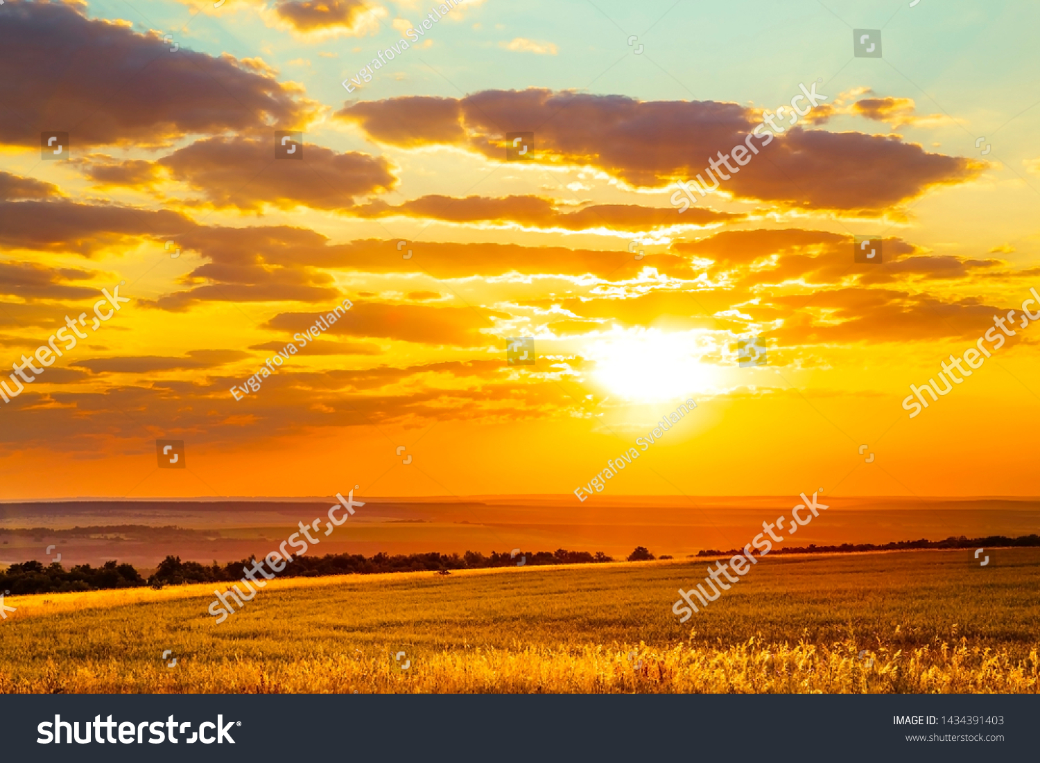 Saratov region, travel, landscape and nature of Russia. Yellow golden orange dramatic dawn at dawn or dusk over endless fields, hills, meadows. The sun rises in the morning above the horizon #1434391403