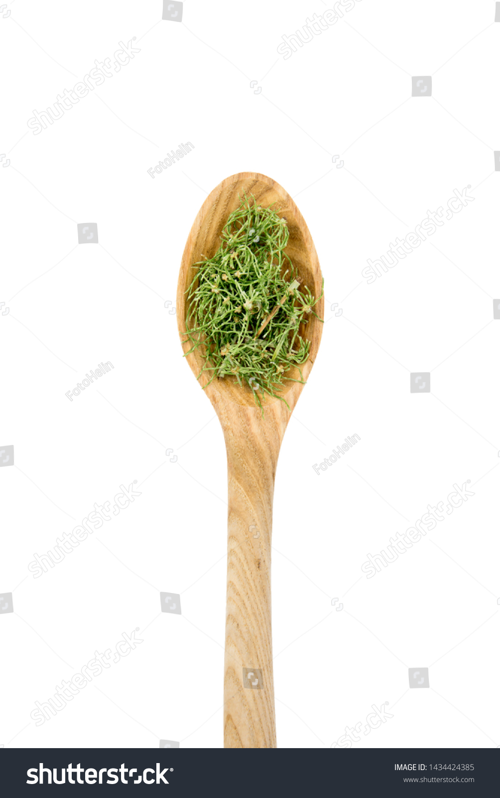 Top view heap of dried natural herbal remedy called Equisetum arvense the field horsetail or common horsetail on wooden spoon isolated on white background. #1434424385