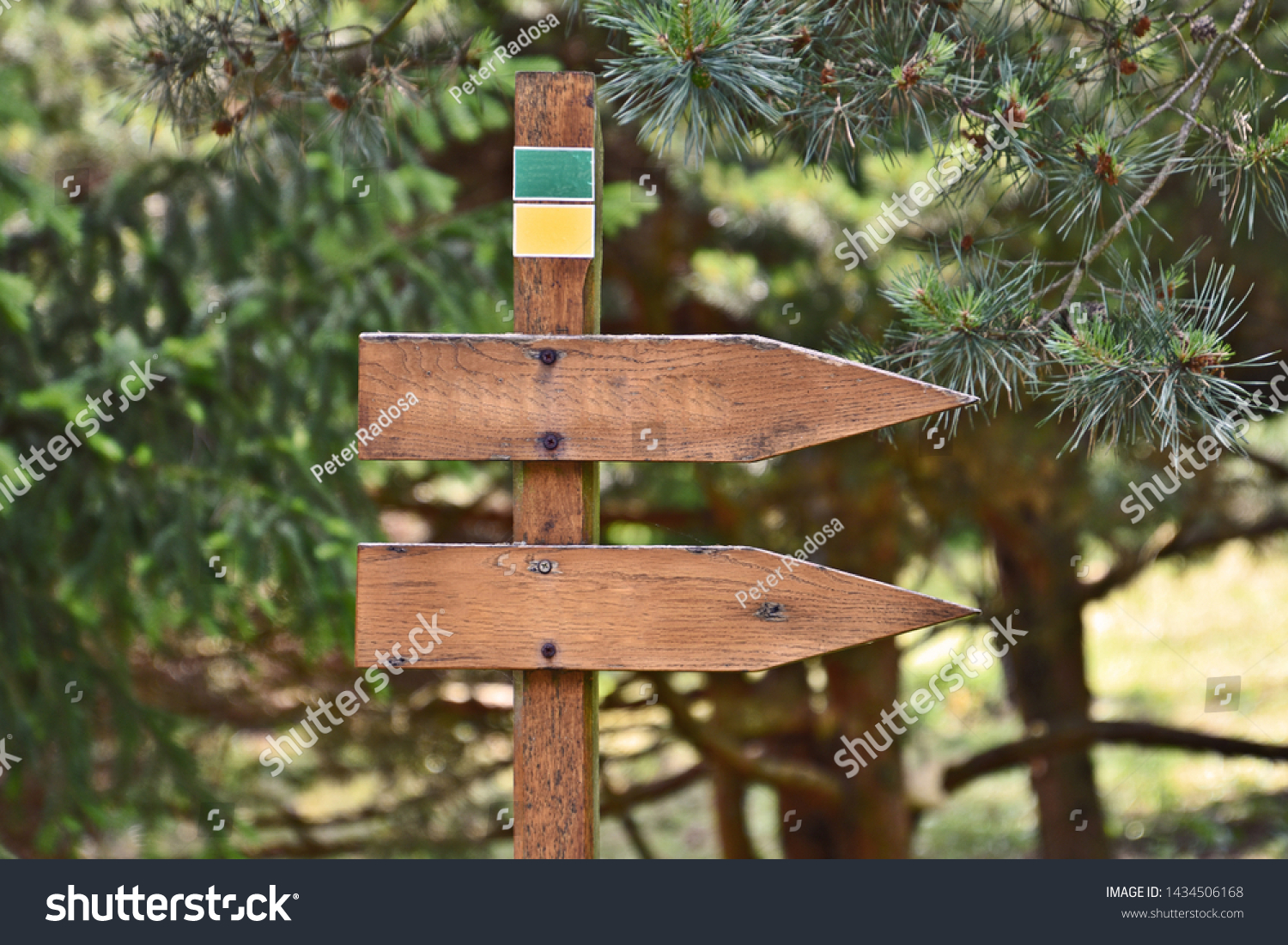 two pointers, arrows point the direction in the forest, in the background blurred trees #1434506168