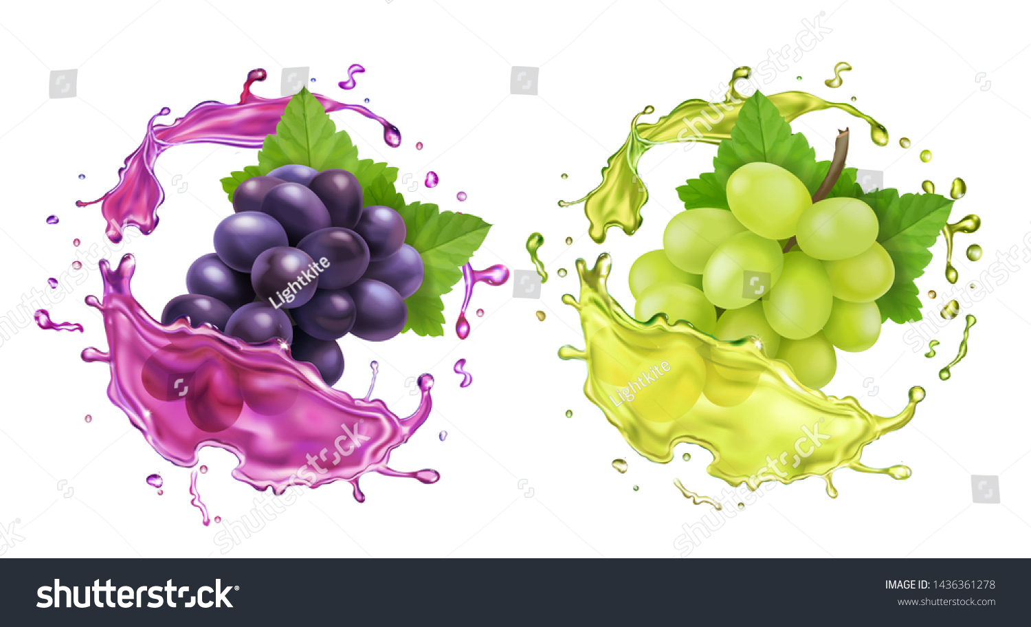 Red and white wine grapes and juice splash. Re.alistic vector icon set #1436361278