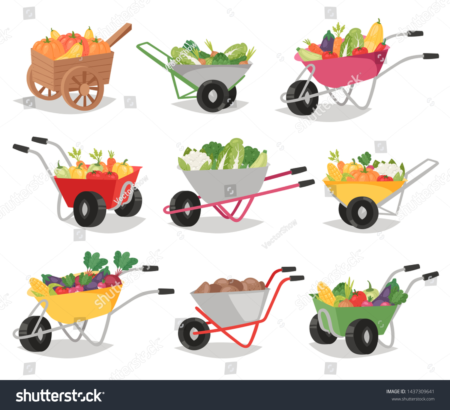 Vegetables in wheelbarrow healthy nutrition of vegetably tomato pepper and carrot in wheel barrow for vegetarians eating farming food illustration vegetated set isolated on white background #1437309641