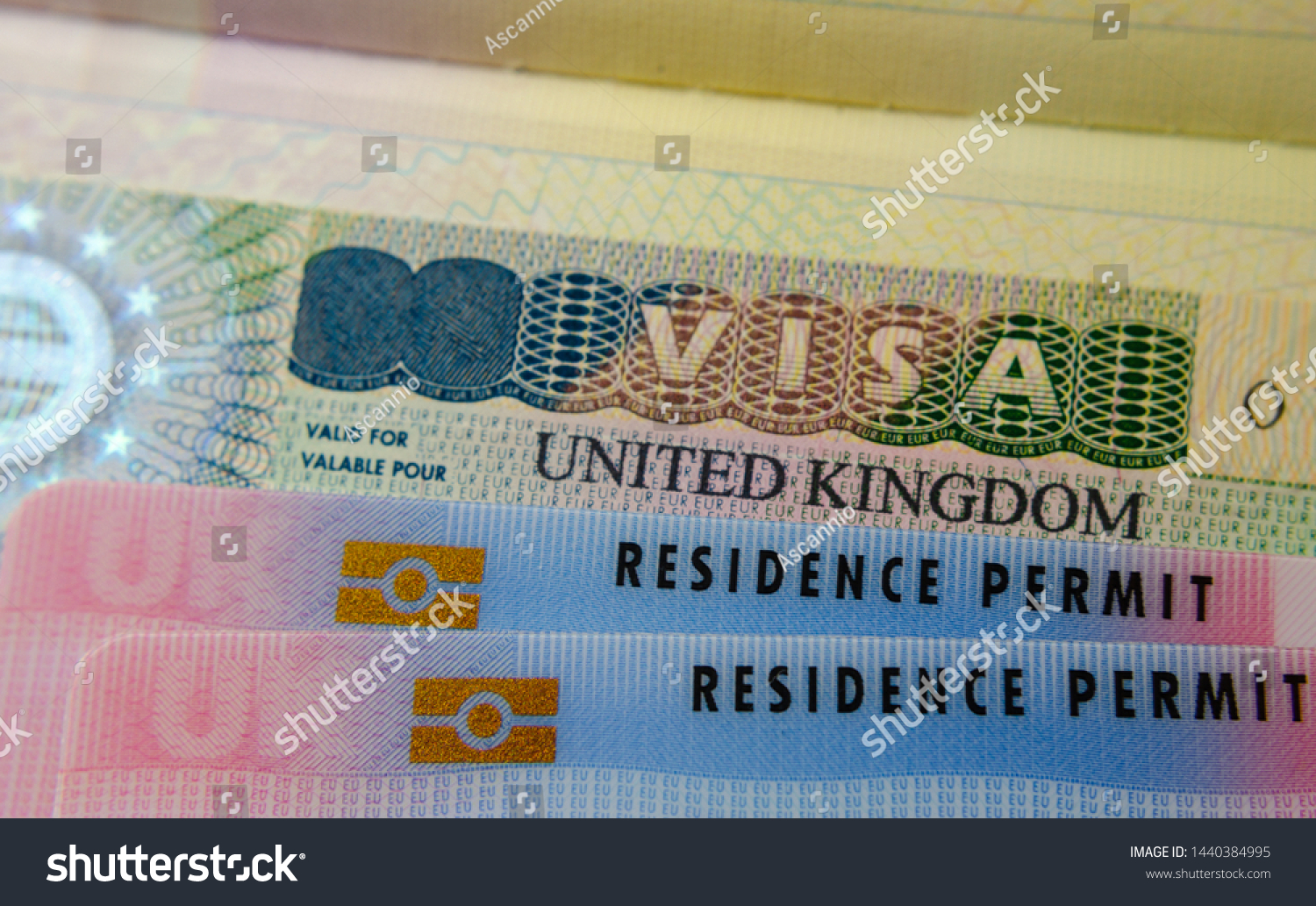 United Kingdom BRP (Biometrical Residence Permit) cards for Tier 2 work visa placed on top of UK VISA sticker in the passport. Close up photo.  #1440384995
