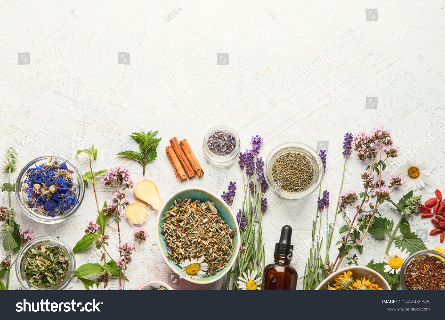 Various kinds of herbal tea. Natural herbs medicine. Top view with copy space #1442439845