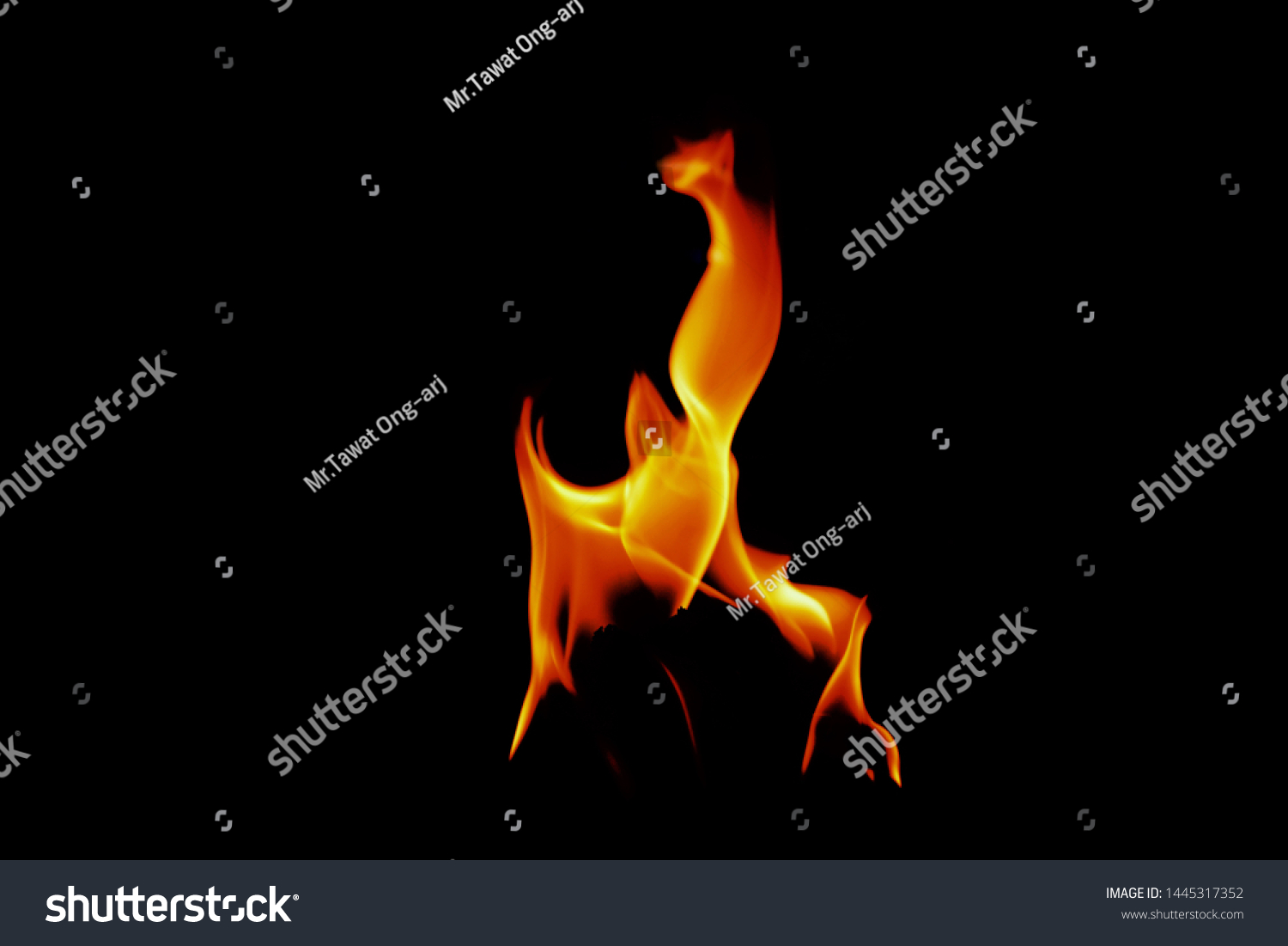 Fire flame isolated on black isolated background Beautiful yellow, orange and red and red blaze fire flame texture style, Fire flames collection isolated on black background #1445317352