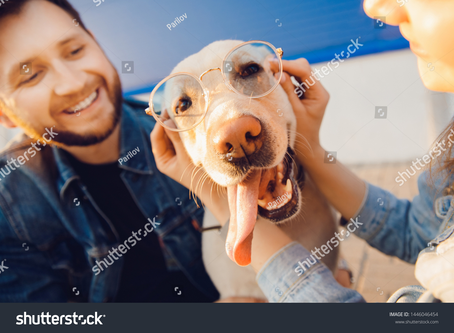 Funny dog in sunglasses with man and woman for walk. #1446046454