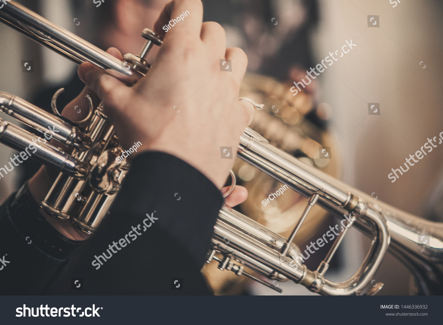 The musician plays a brass instrument - Trumpet #1446336932
