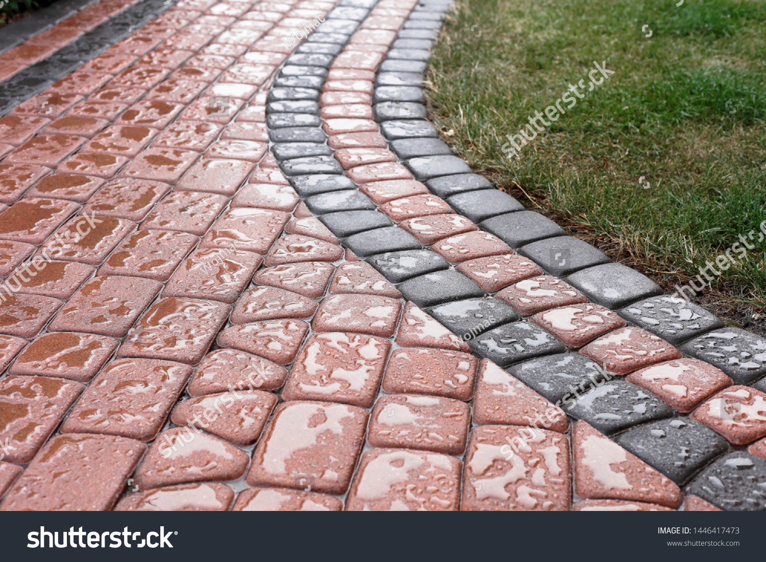 impregnated paving stones on the path not receiving rainwater #1446417473