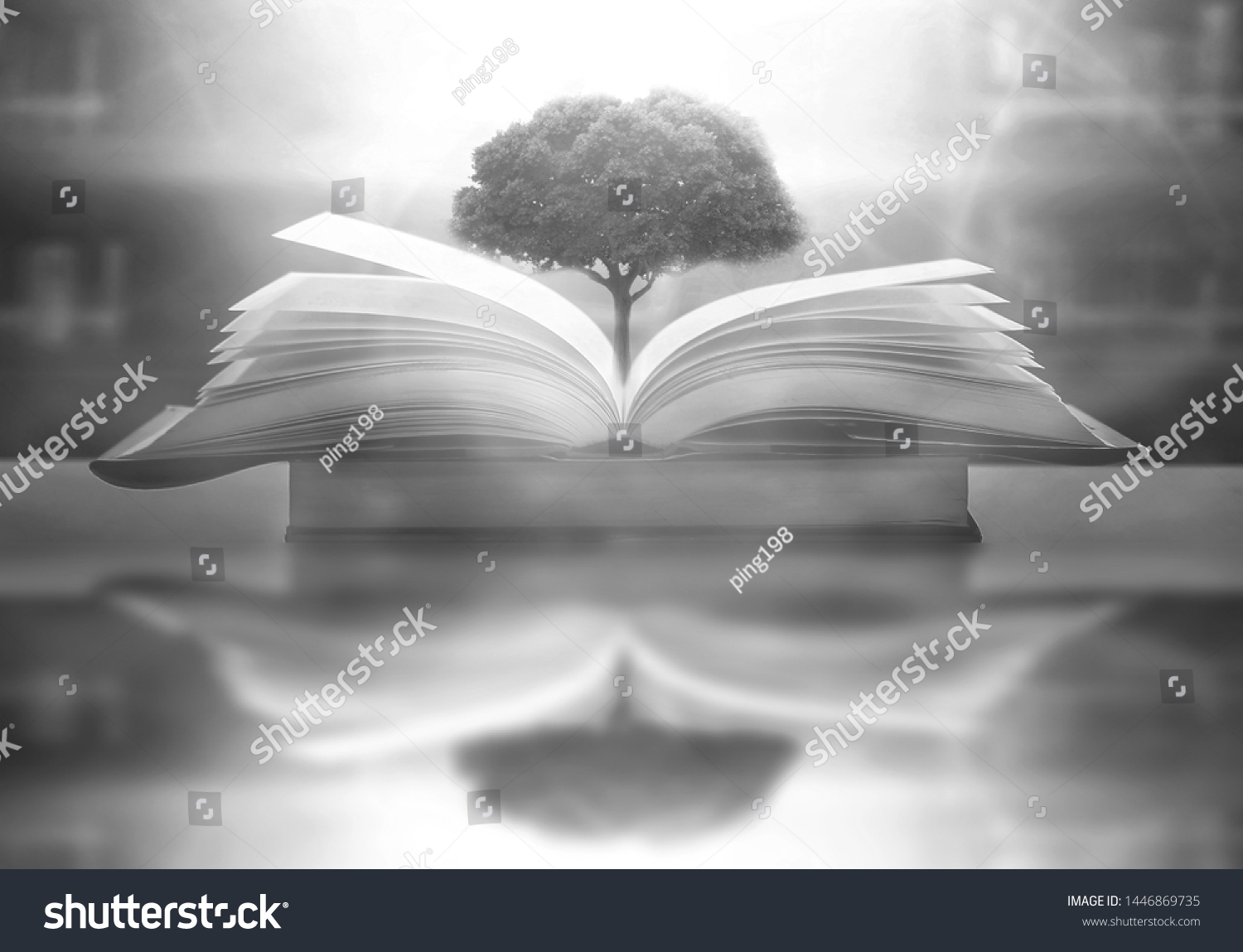 The concept of education by planting a tree of knowledge in the opening of an old book in the library and the magical magic of light that flies to the destination of success. Beautiful background #1446869735