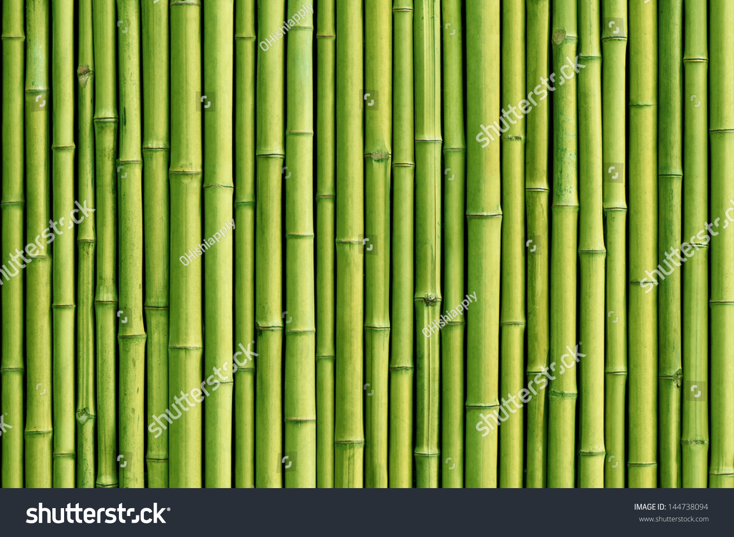 green bamboo fence background #144738094