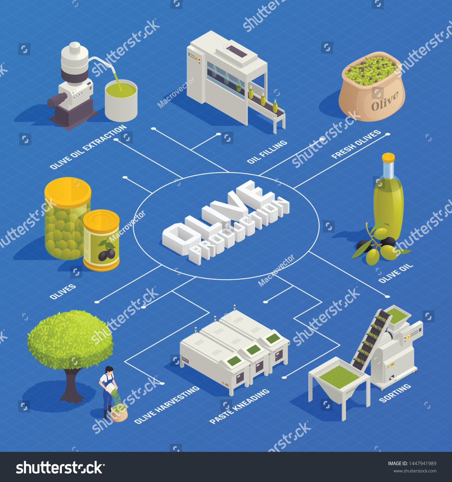 Olive production isometric flowchart with fruit - Royalty Free Stock ...