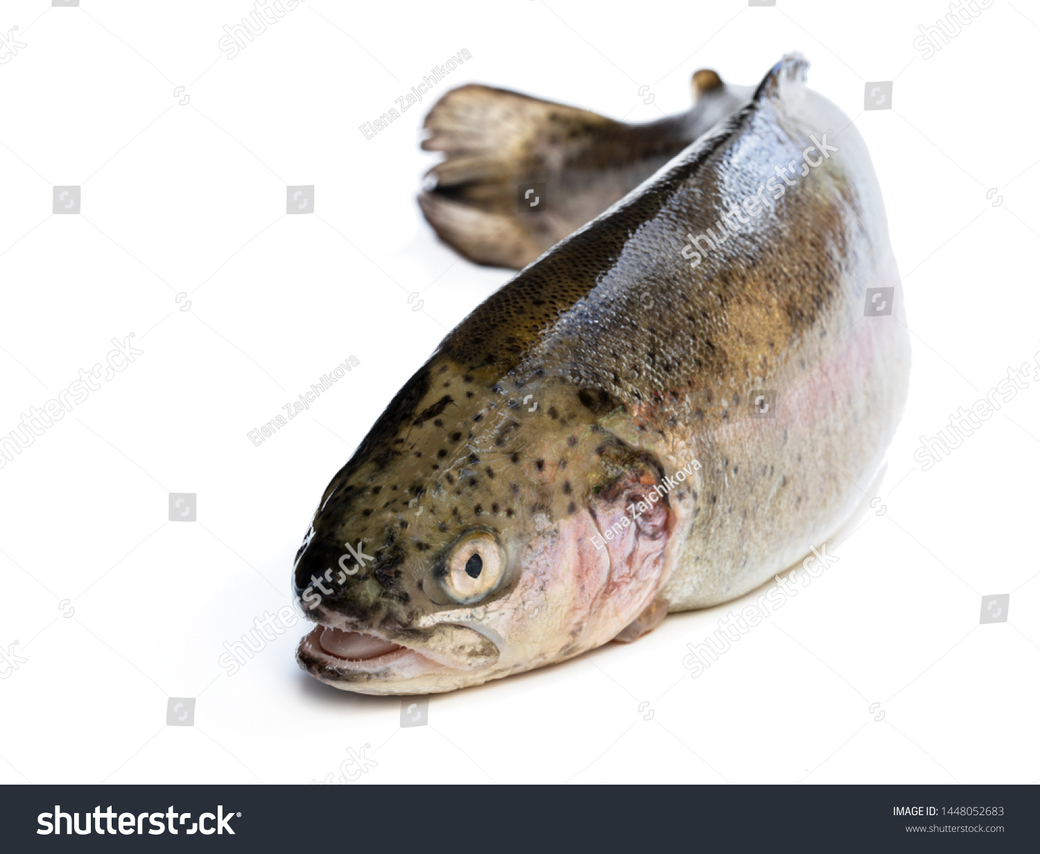 Fresh  raw Rainbow trout isolated on white   #1448052683