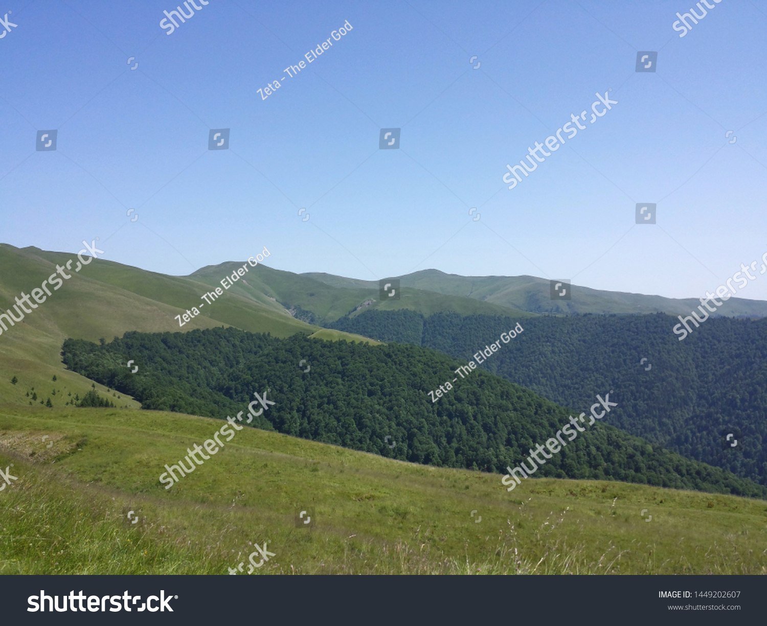 beautiful contrastis captured by me in this photo while hiking in the Carpathian Mountains #1449202607