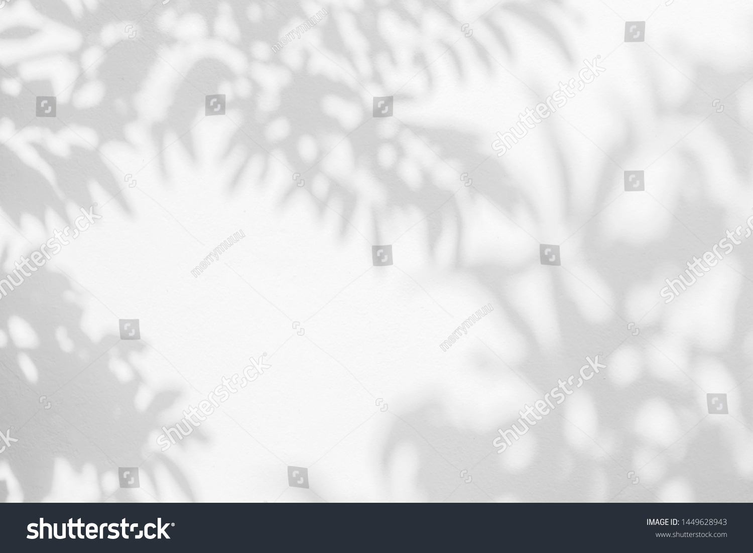 Abstract leaves shadow branch of tree background on white concrete wall texture , black and white, monochrome, nature shadow art on wall
 #1449628943