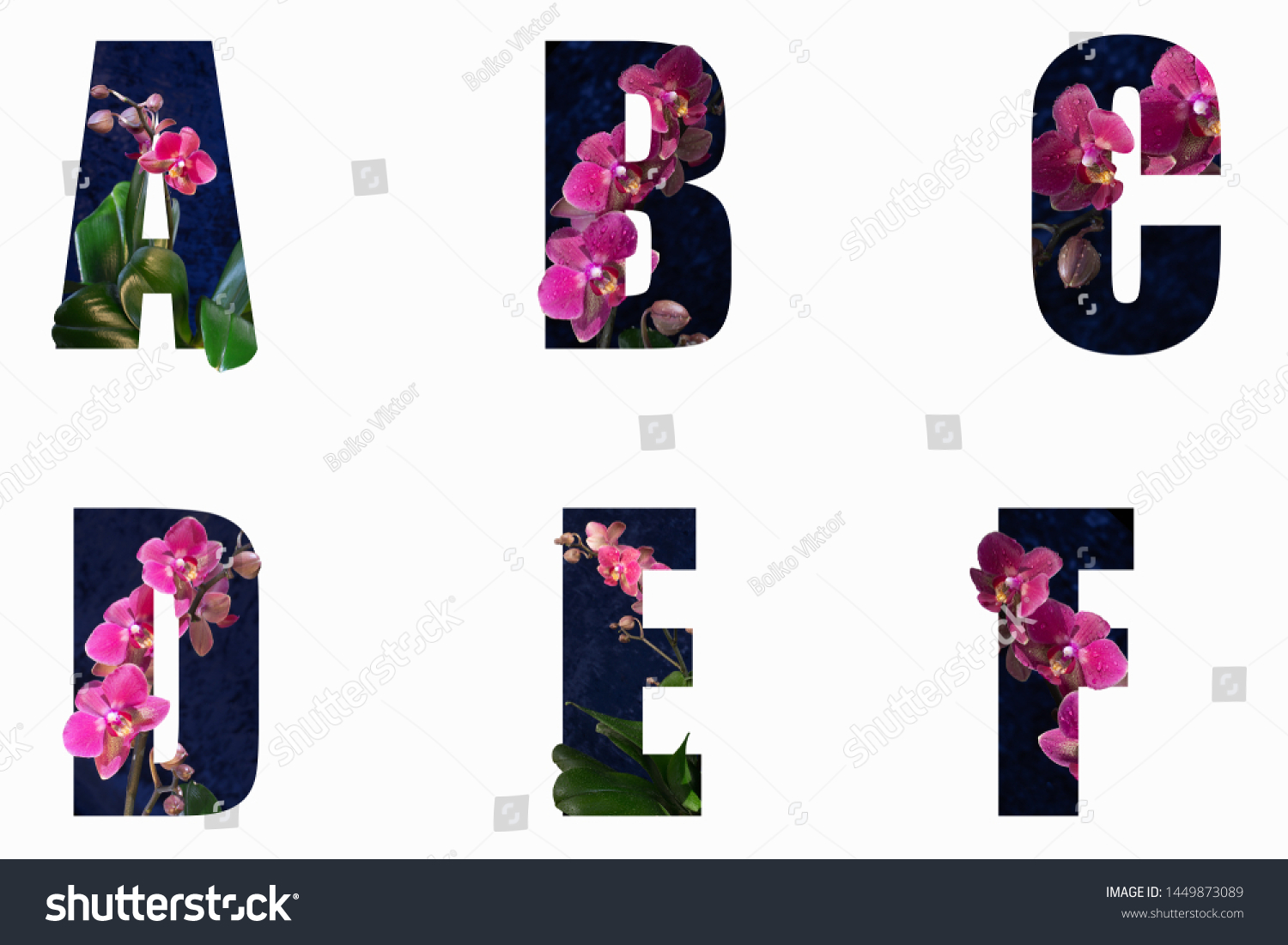 Flower font Alphabet a, b, c, d, e, f made of Real alive flowers with Precious paper cut shape of letter. Collection of brilliant flora font for your unique decoration in spring,  #1449873089