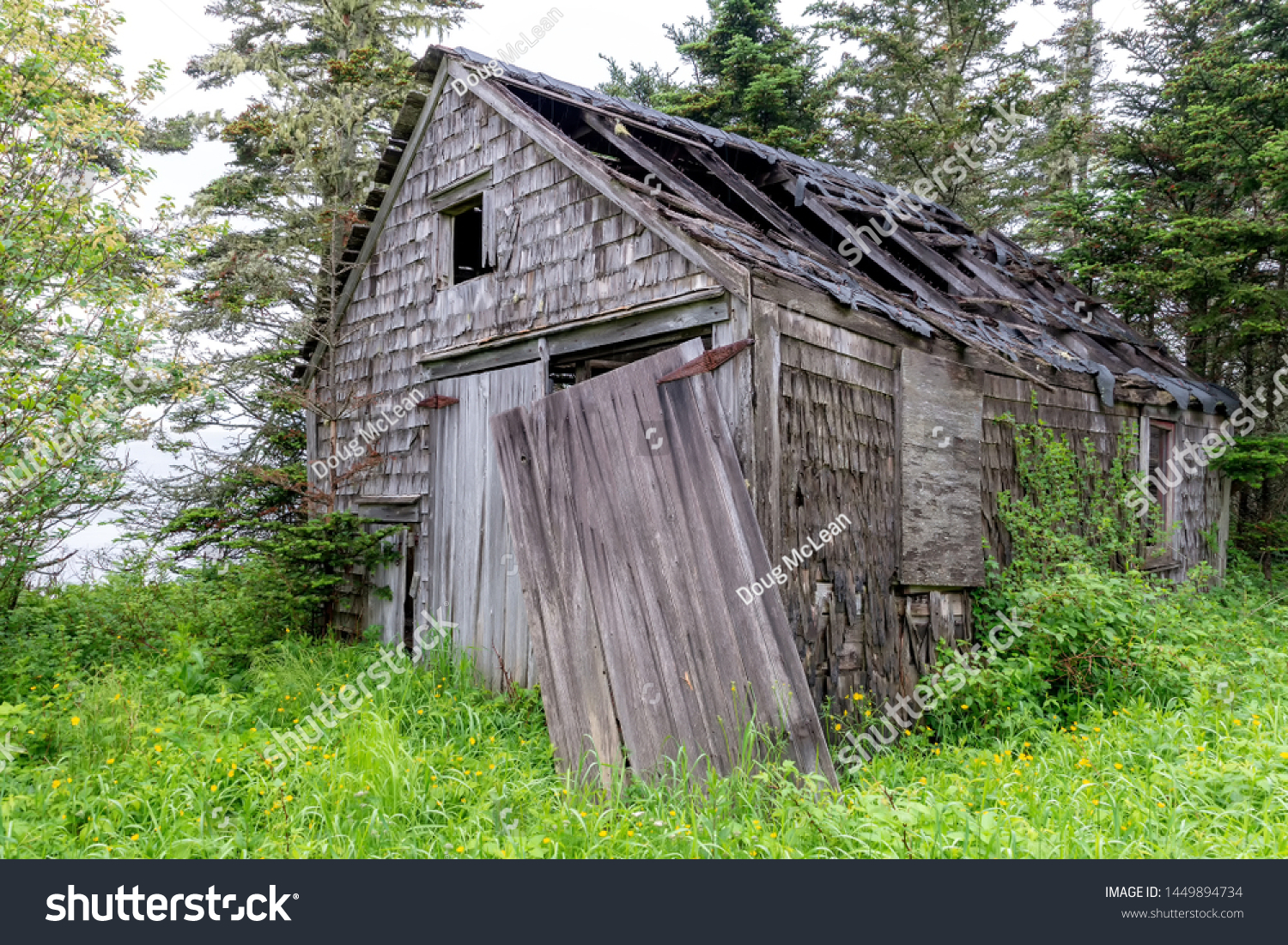 An old, weathered, shack in the woods. Wood - Royalty Free Stock Photo ...