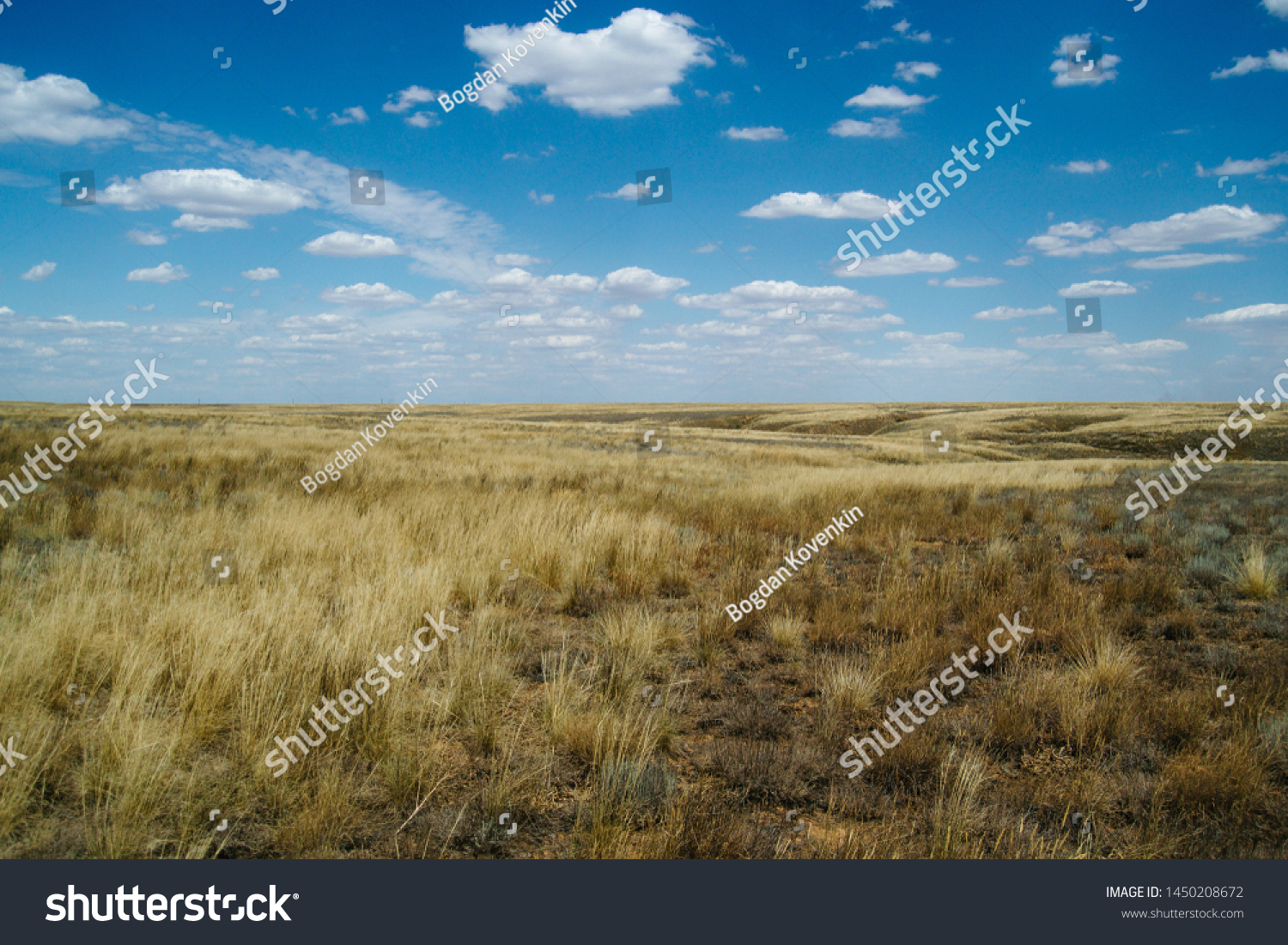 Steppe landscape. Lonely green plants on dry, hot sand.The steppe is woodless. Ravine in the steppe. #1450208672