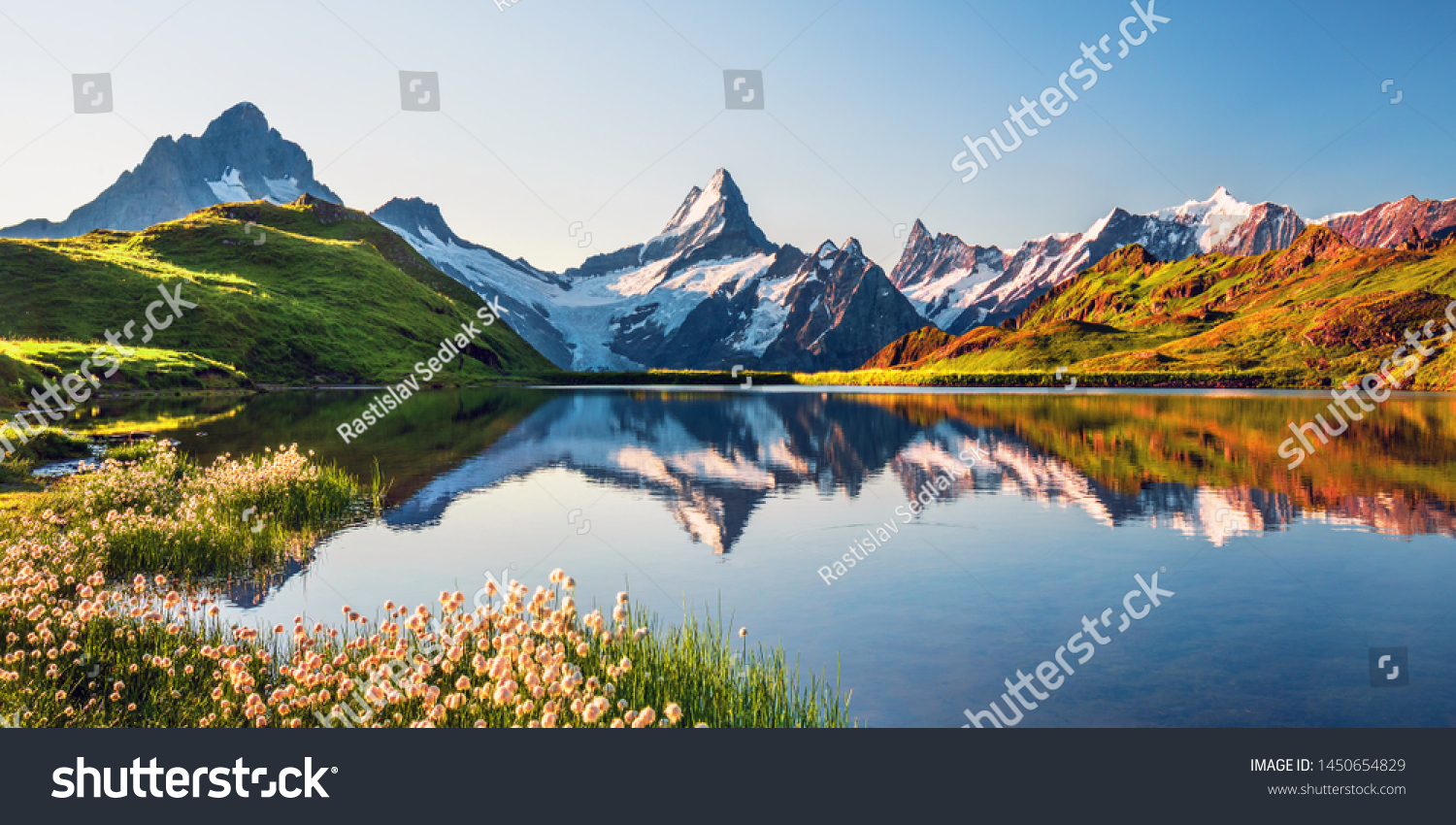 Sunrise view on Bernese range above Bachalpsee lake. Highest peaks Eiger, Jungfrau and Faulhorn in famous location. Switzerland alps, Grindelwald valley #1450654829