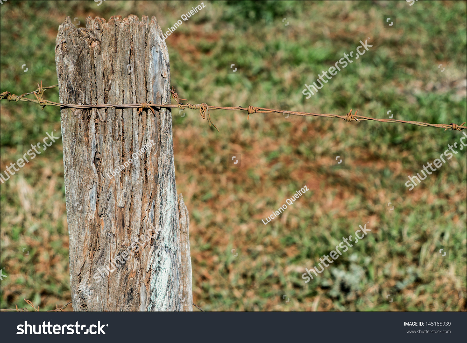 Wooden fence with barbed wire 2 #145165939
