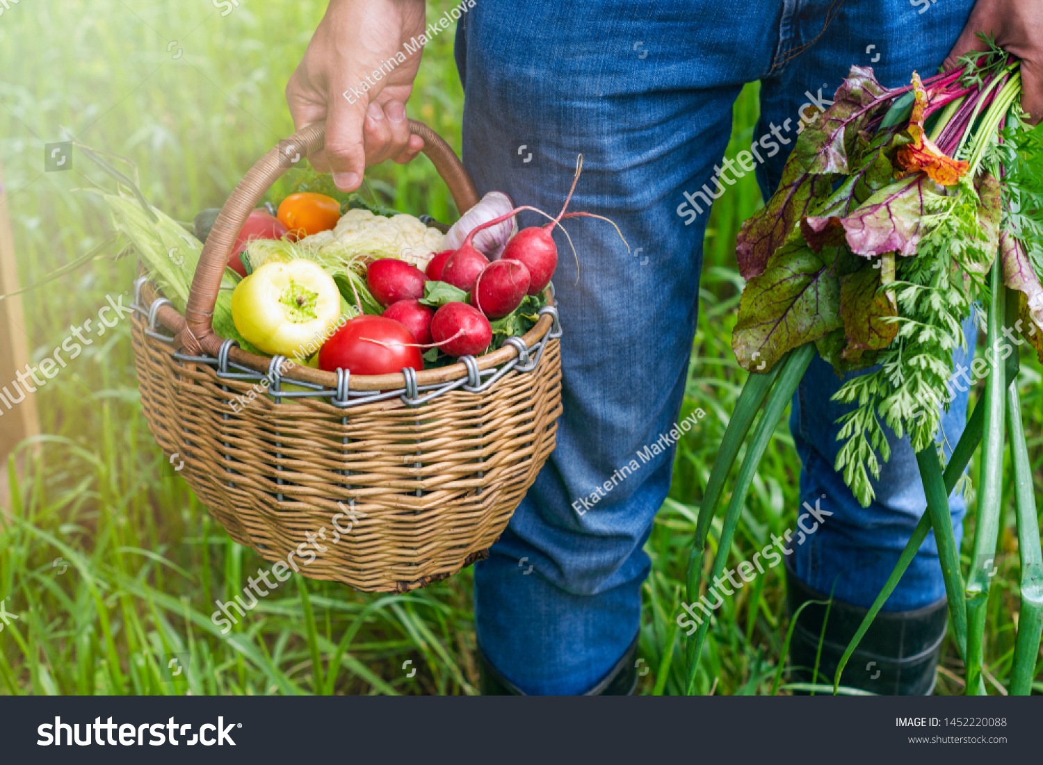 A man is holding a large basket with fresh organic vegetables. Autumn harvest concept #1452220088