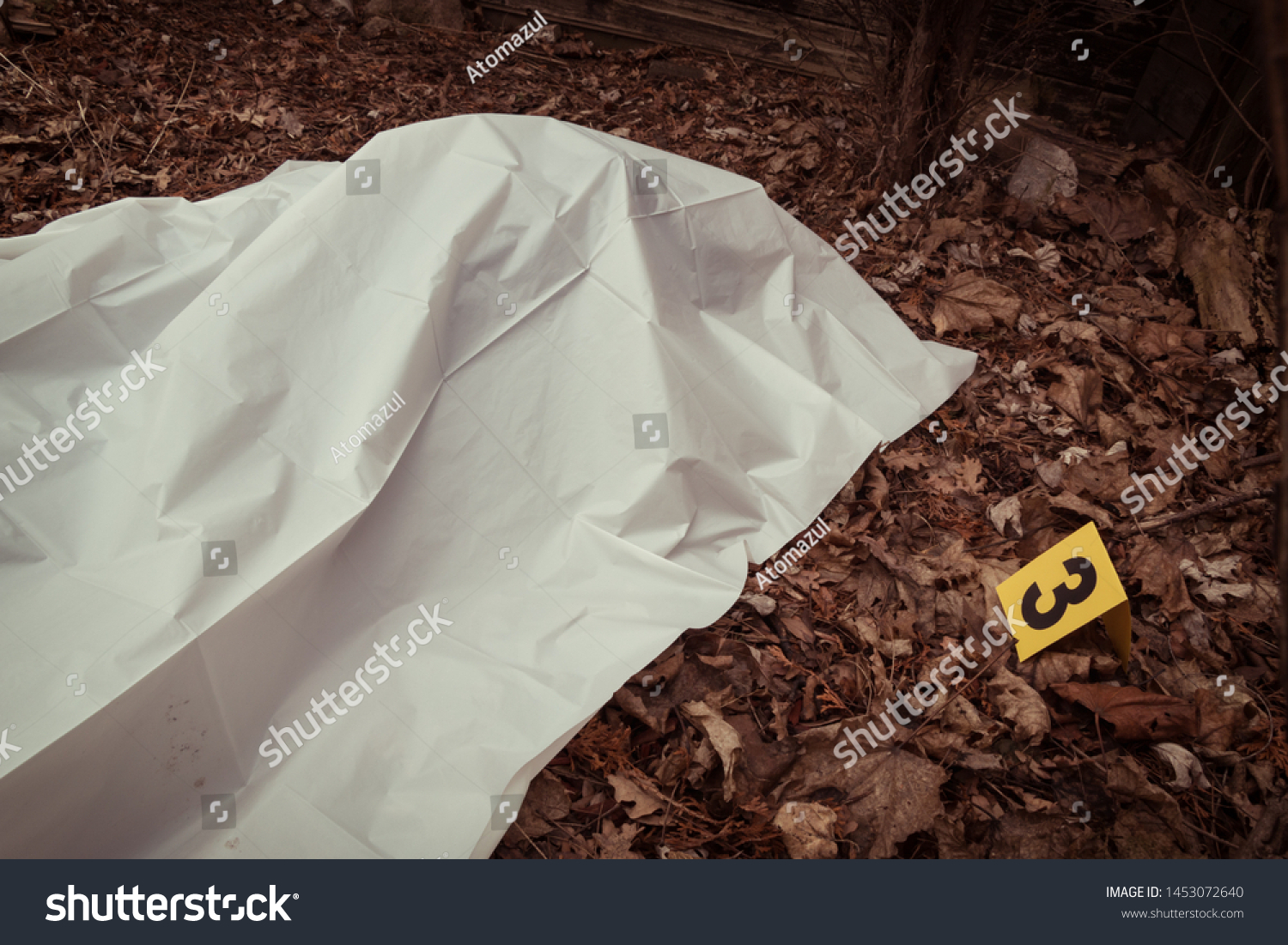 Victim of a violent crime under a sheet in a rural yard. With evidence markers. #1453072640