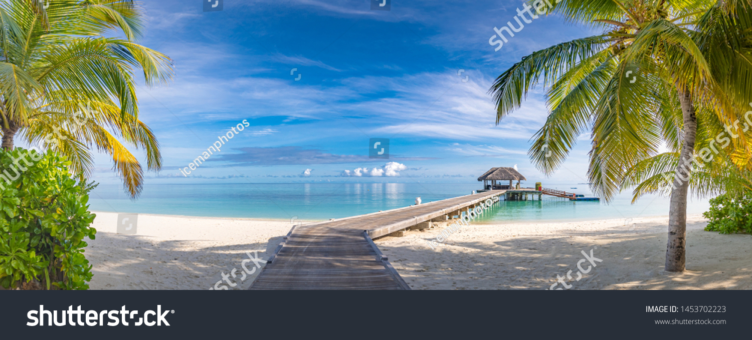 Tropical beach, Maldives. Jetty pathway into tranquil paradise island. Palm trees, white sand and blue sea, perfect summer vacation landscape or holiday banner. Beautiful tourism destination, Maldives #1453702223