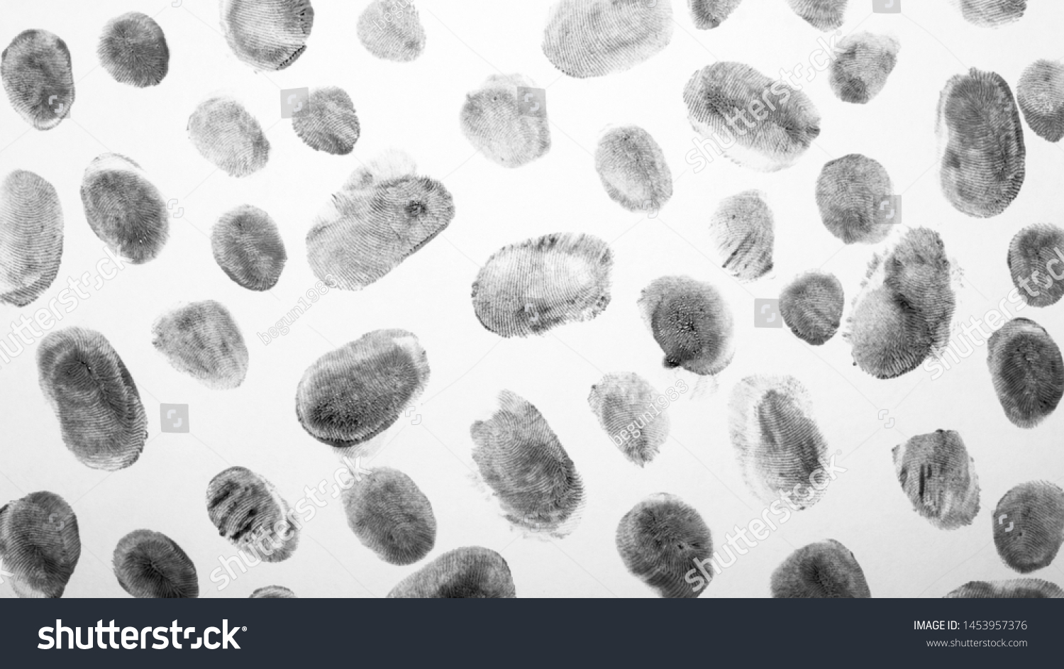 Fingerprints.Background with fingerprints.Black fingerprint on white background. #1453957376