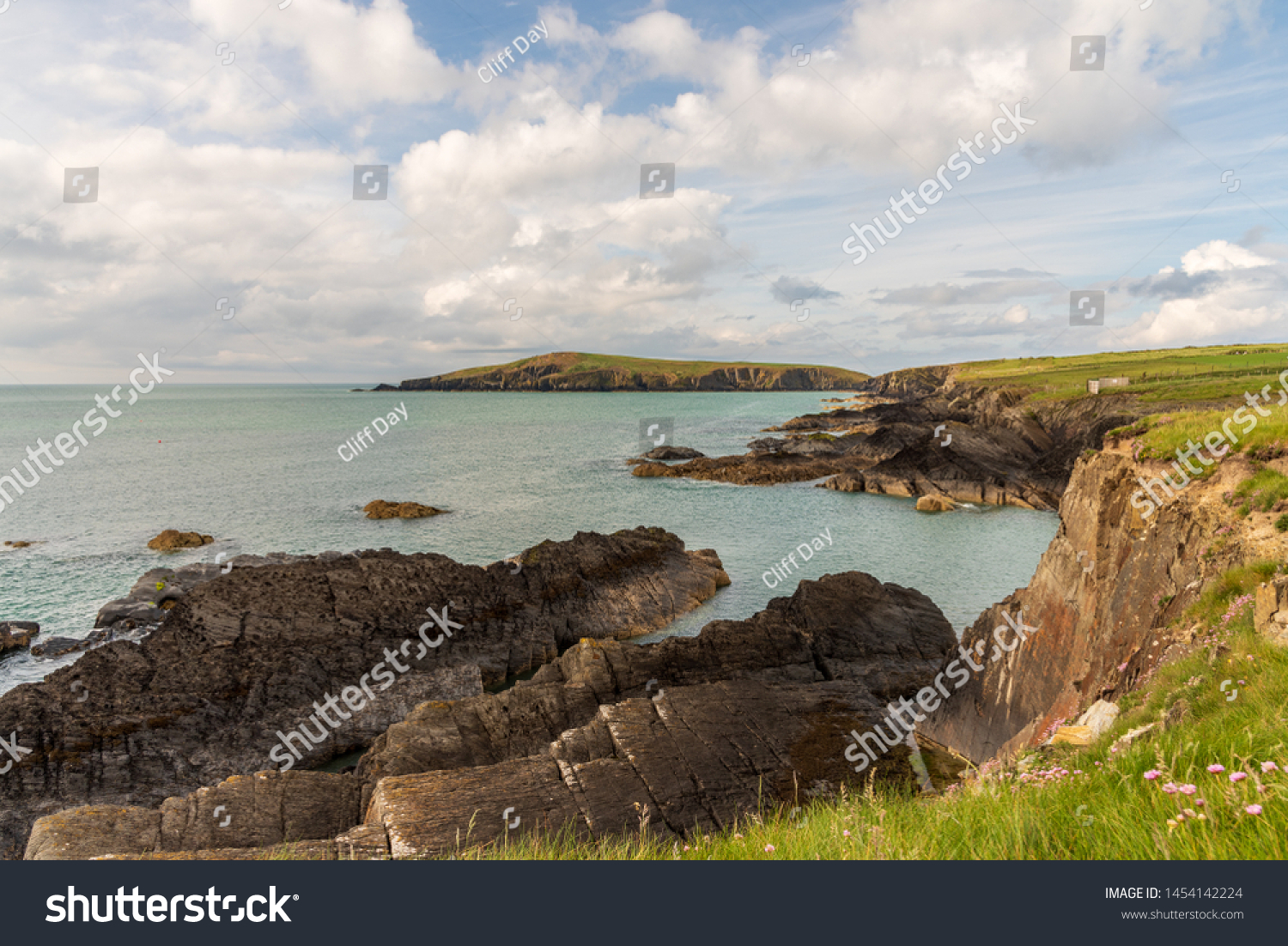 A view to Cardigan Island along the coastal path in West Wales , Cardigan #1454142224
