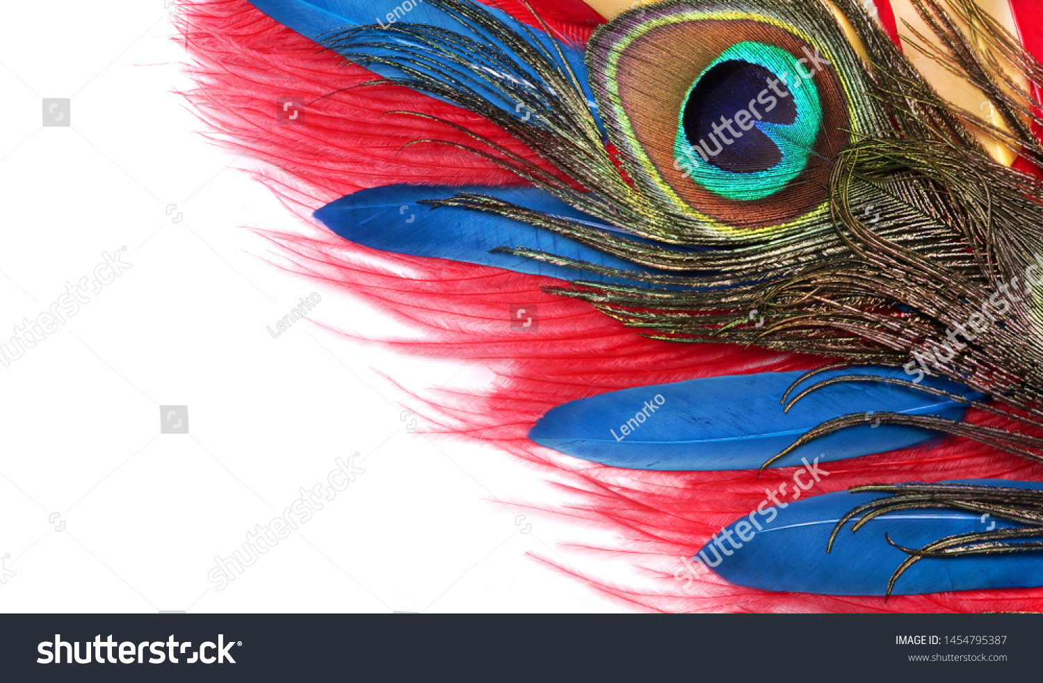 Peacock feathers on white background. Carnival. Colored feather. #1454795387