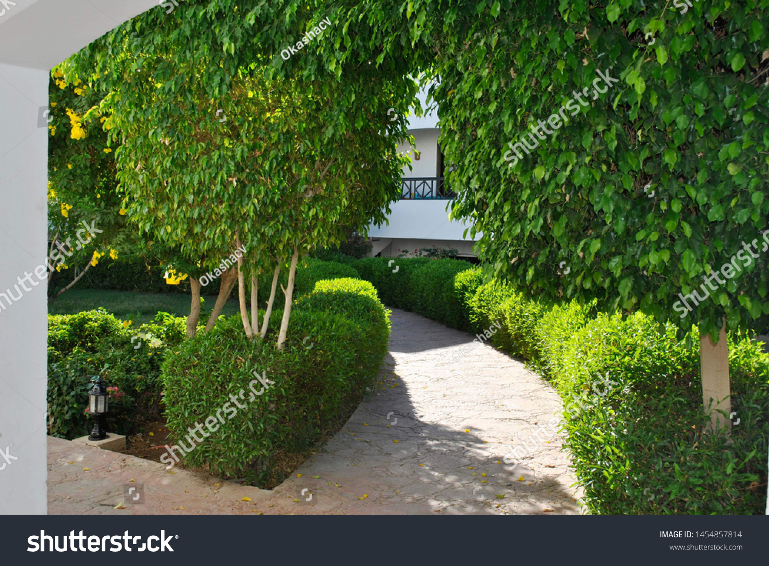 Narrow path, stone path through green mini trees and shrubs #1454857814