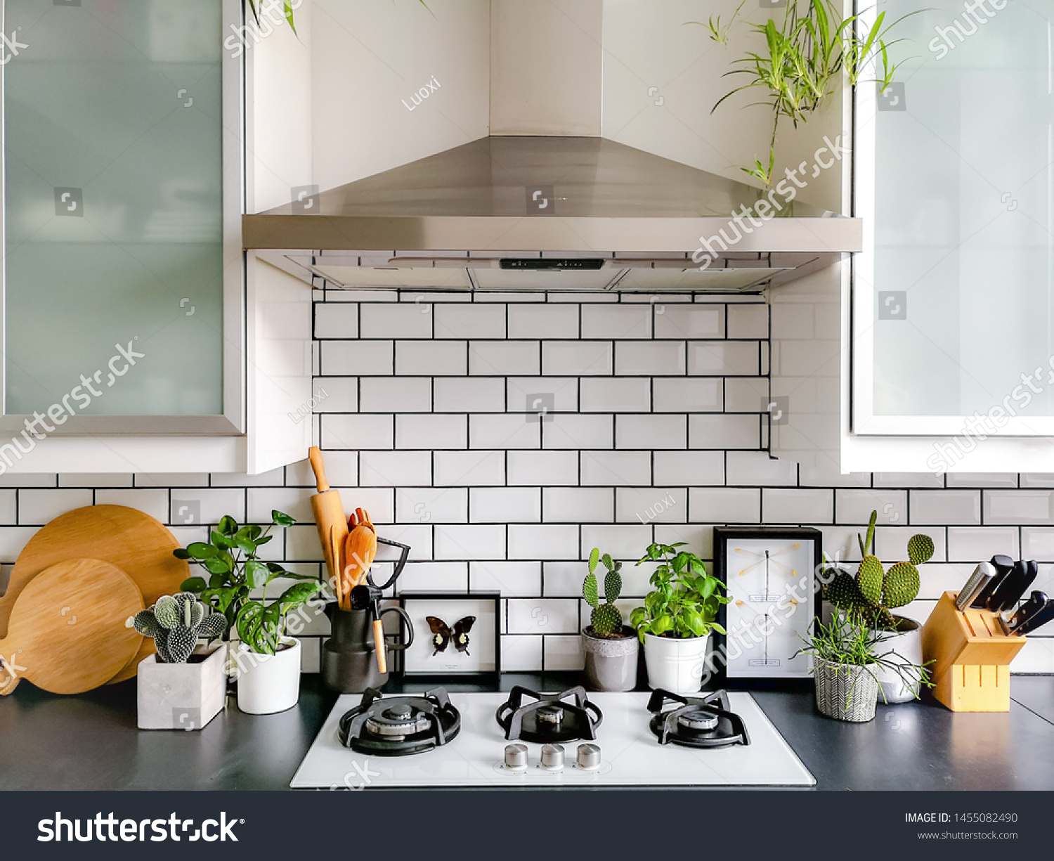 Black and white subway tiled kitchen with numerous plants and framed taxidermy insect art #1455082490