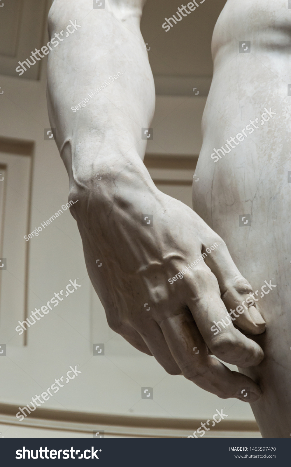 Vertical close up view of David's hand details.  Sculpture done by famous Italian sculptor Michelangelo #1455597470