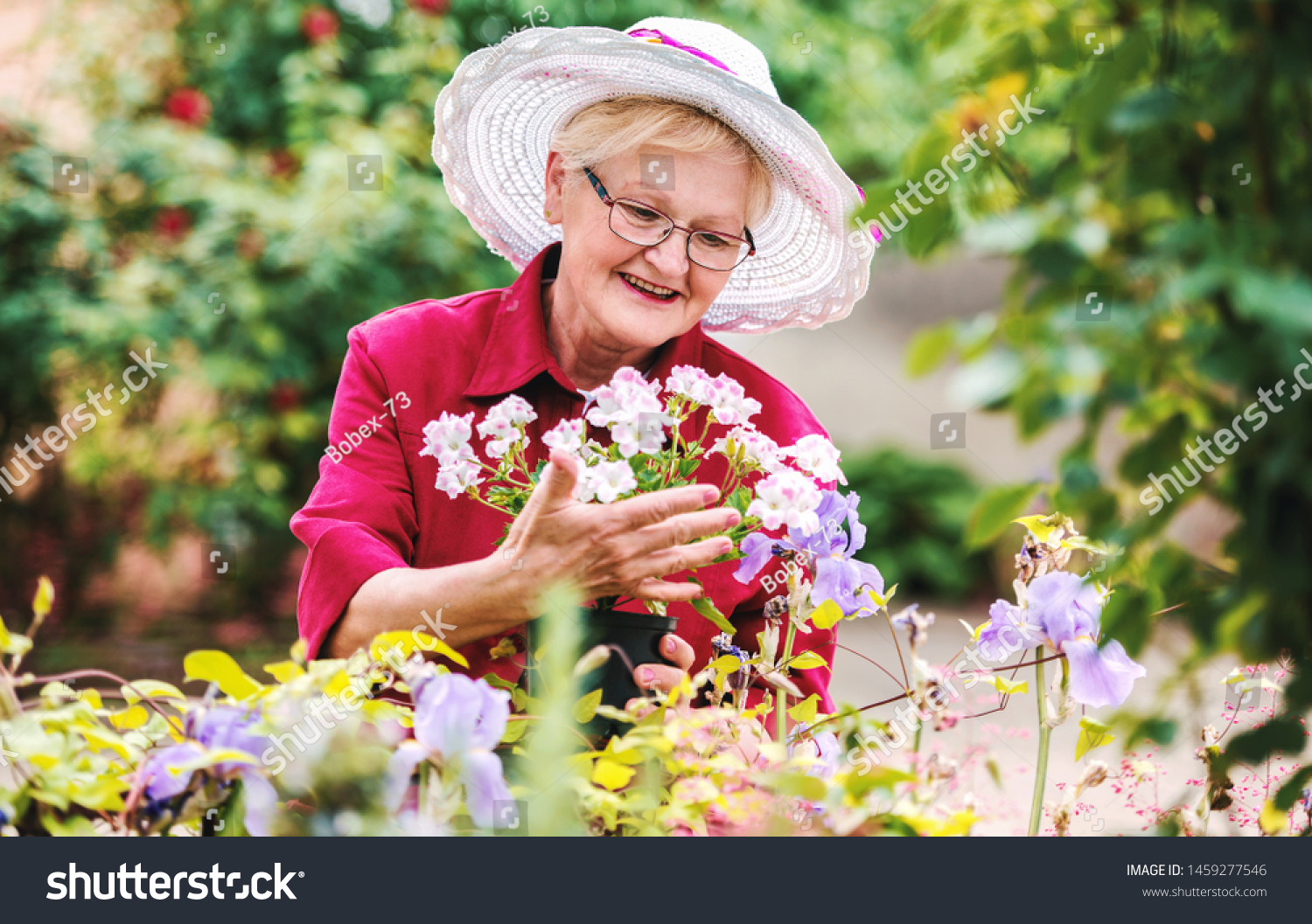 Gardening. Senior woman enjoying in her garden with flowers. Hobbies and leisure #1459277546