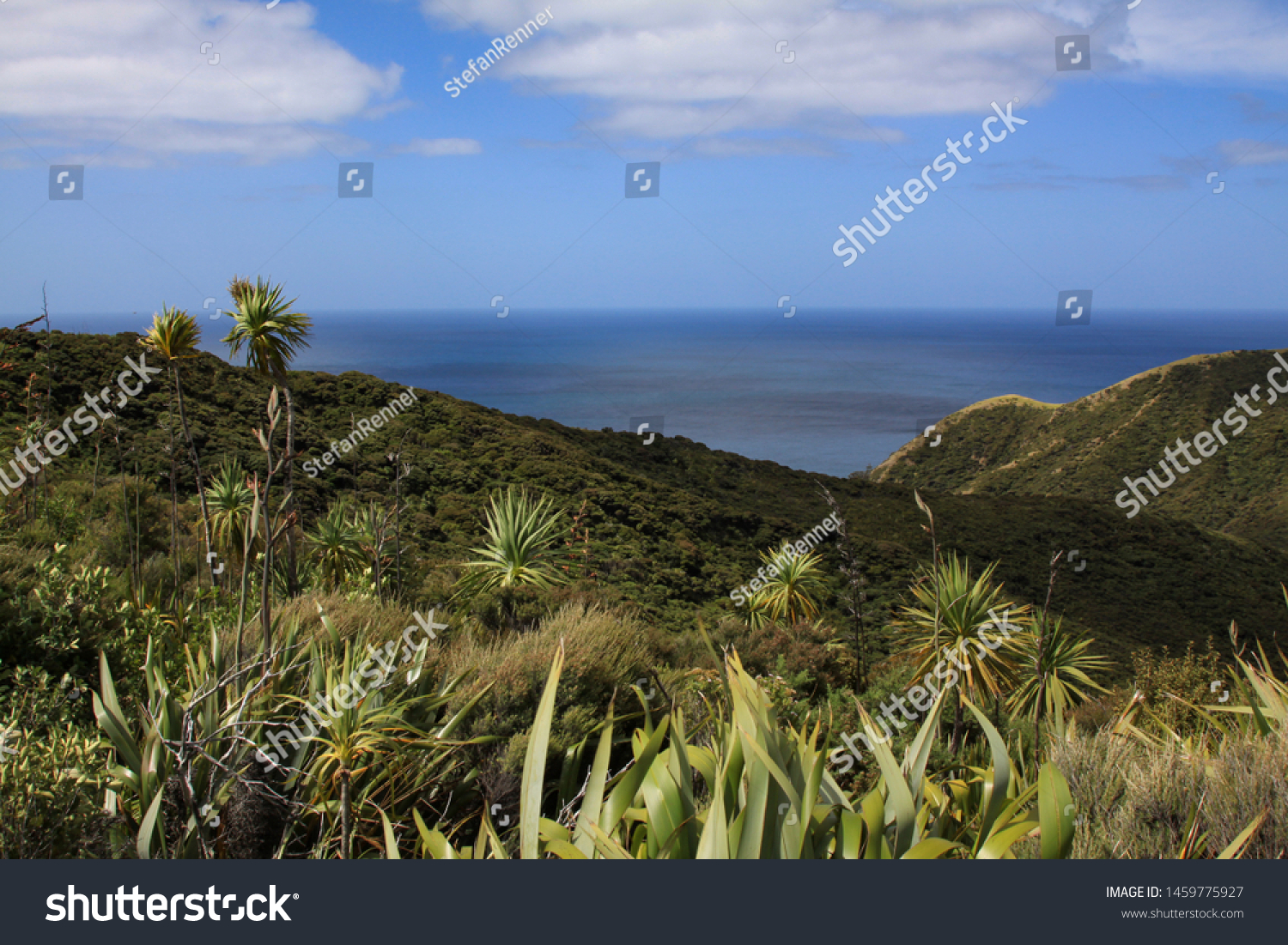 Wide panorama with vegetation of flora Flora with island character
 #1459775927