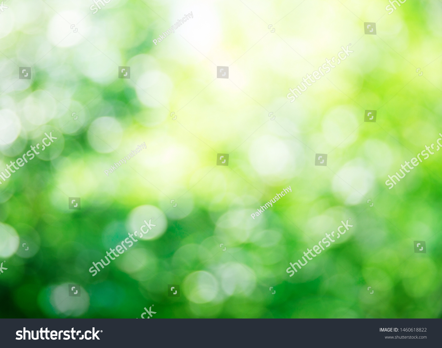 green bokeh background,green bokeh,green bokeh abstract #1460618822