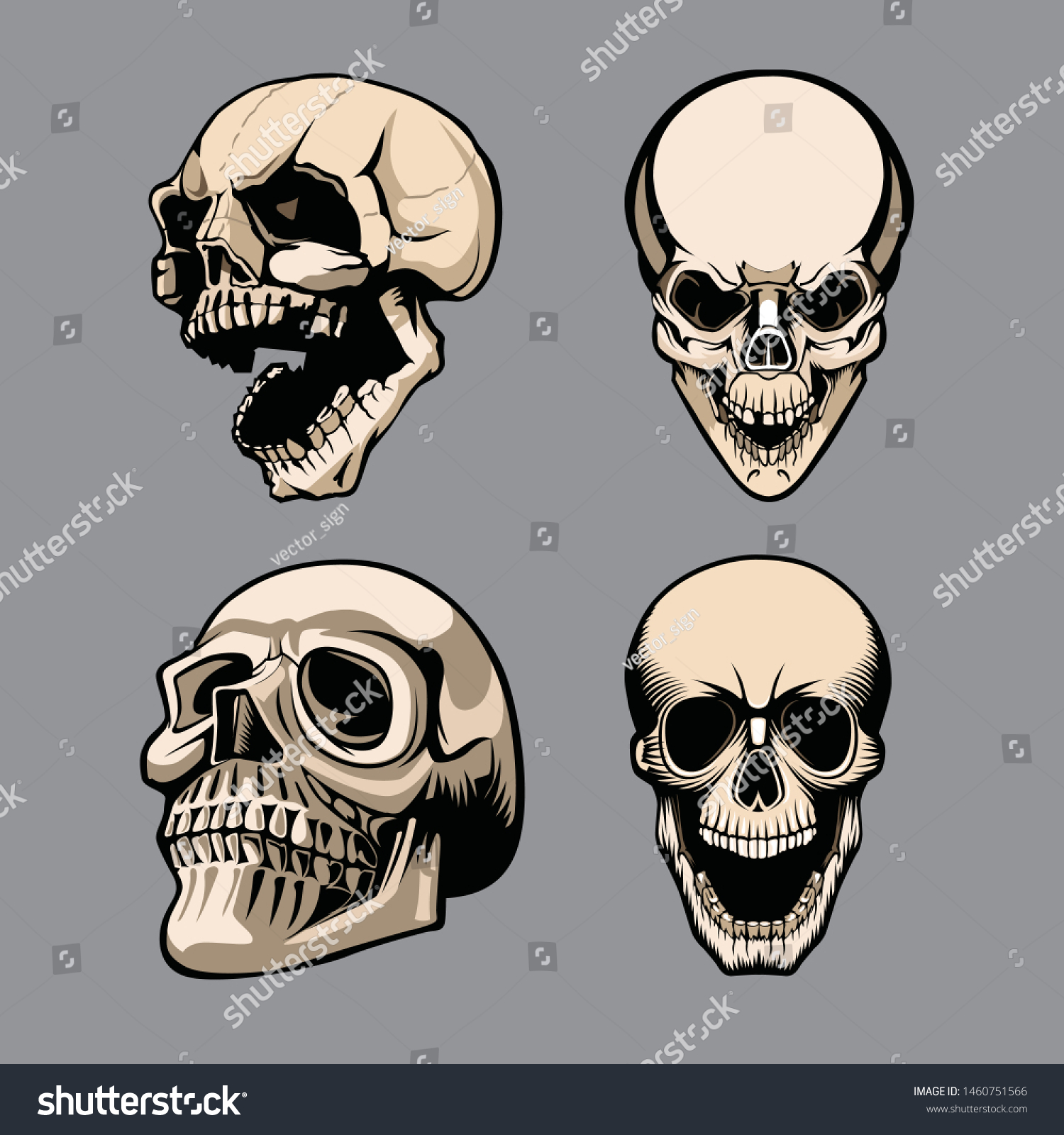 A set of four skulls in different positions. - Royalty Free Stock ...