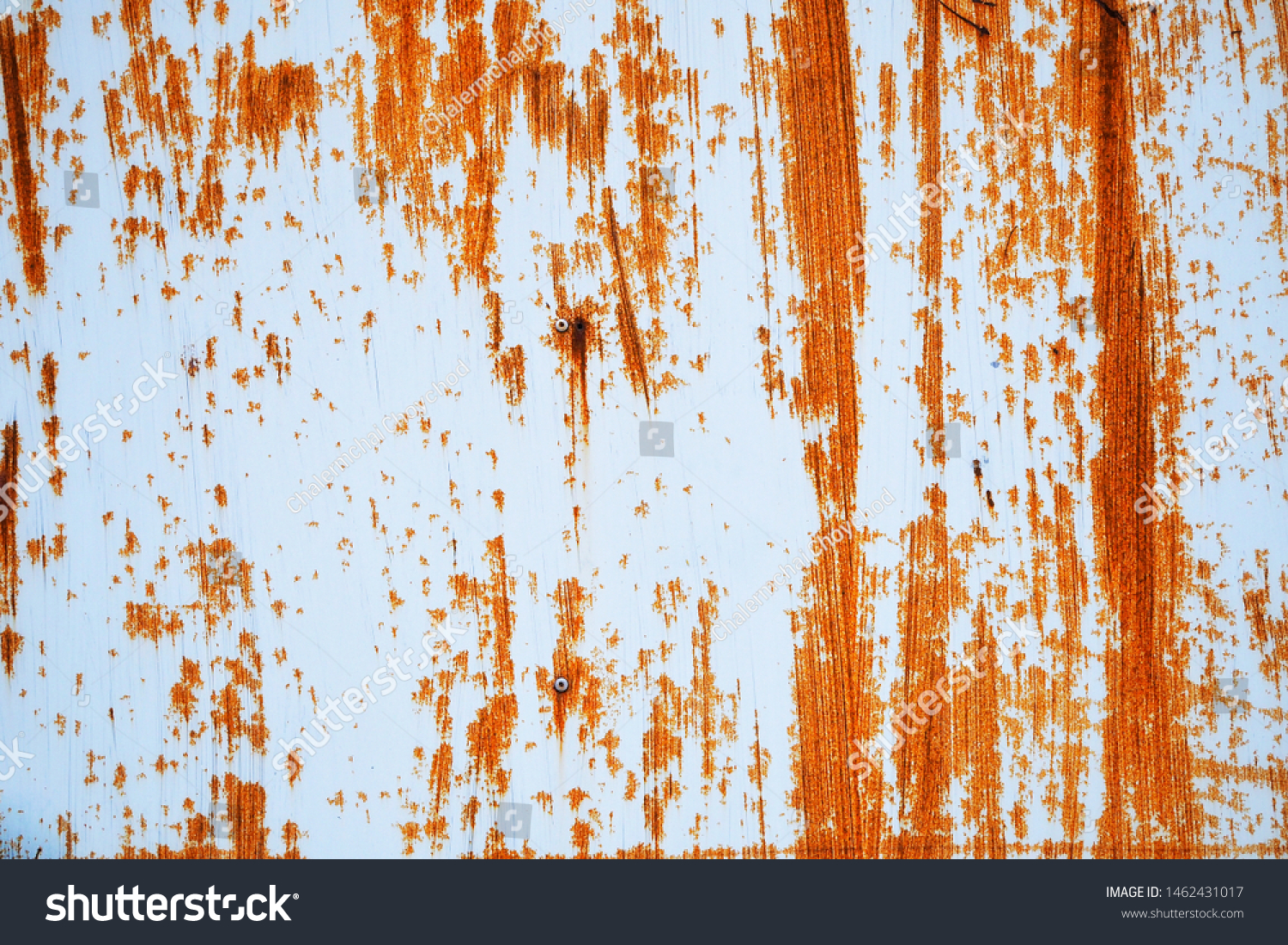Rusted white painted metal wall. Rusty metal background with streaks of rust. Rust stains. Rust texture. #1462431017