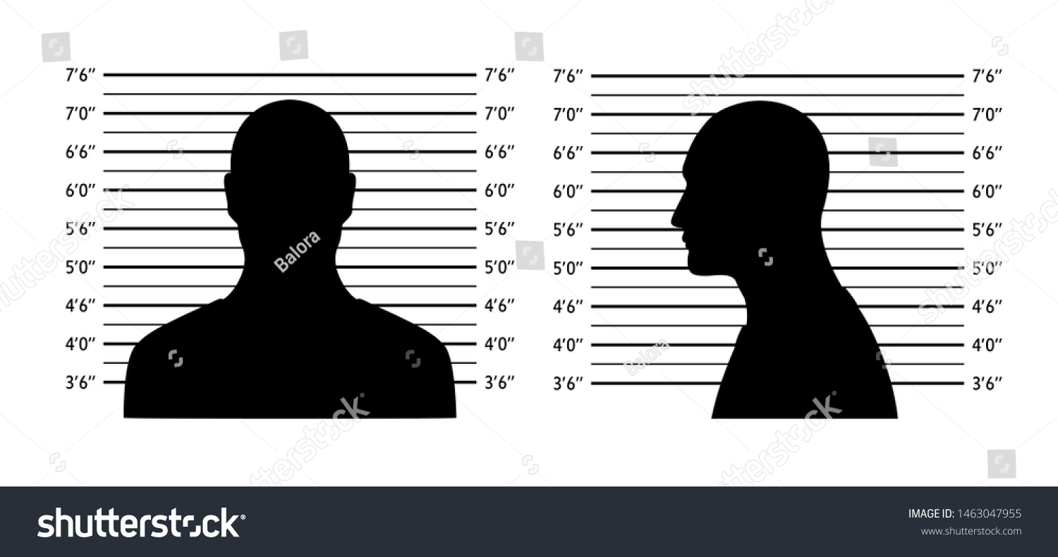 Police lineup. Mugshot background with - Royalty Free Stock Vector ...