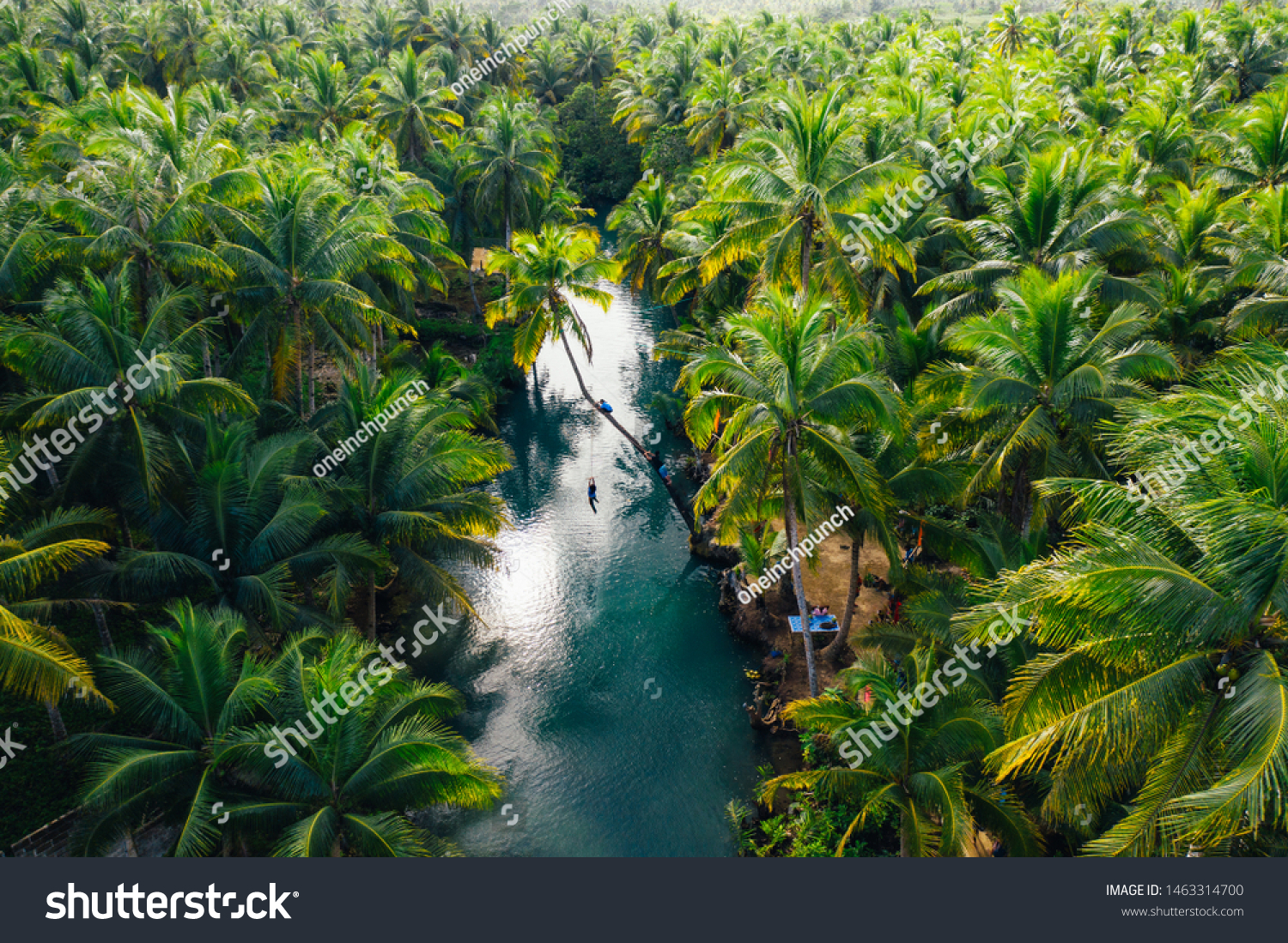 Palm tree jungle in the philippines. concept about wanderlust tropical travels. swinging on the river. People having fun #1463314700