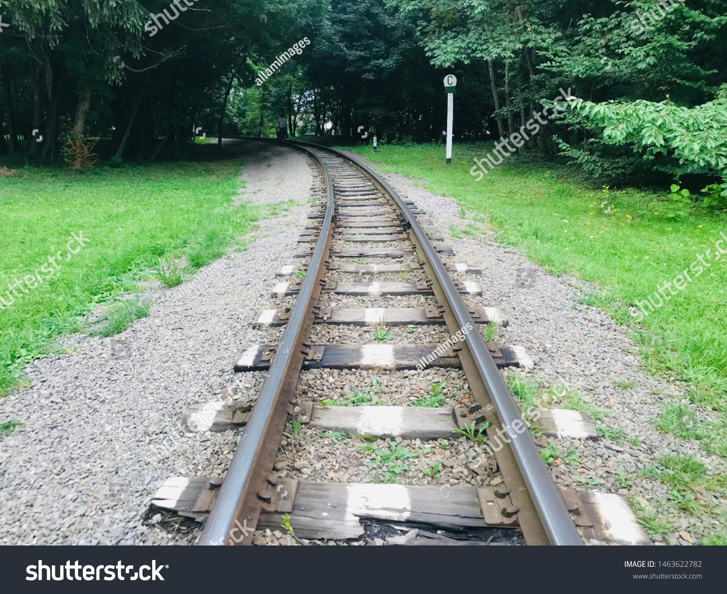 Buying iron rail railroad track thin long old nostalgia wonderful different angles perspectives background image of railroad crossing between green trees. #1463622782