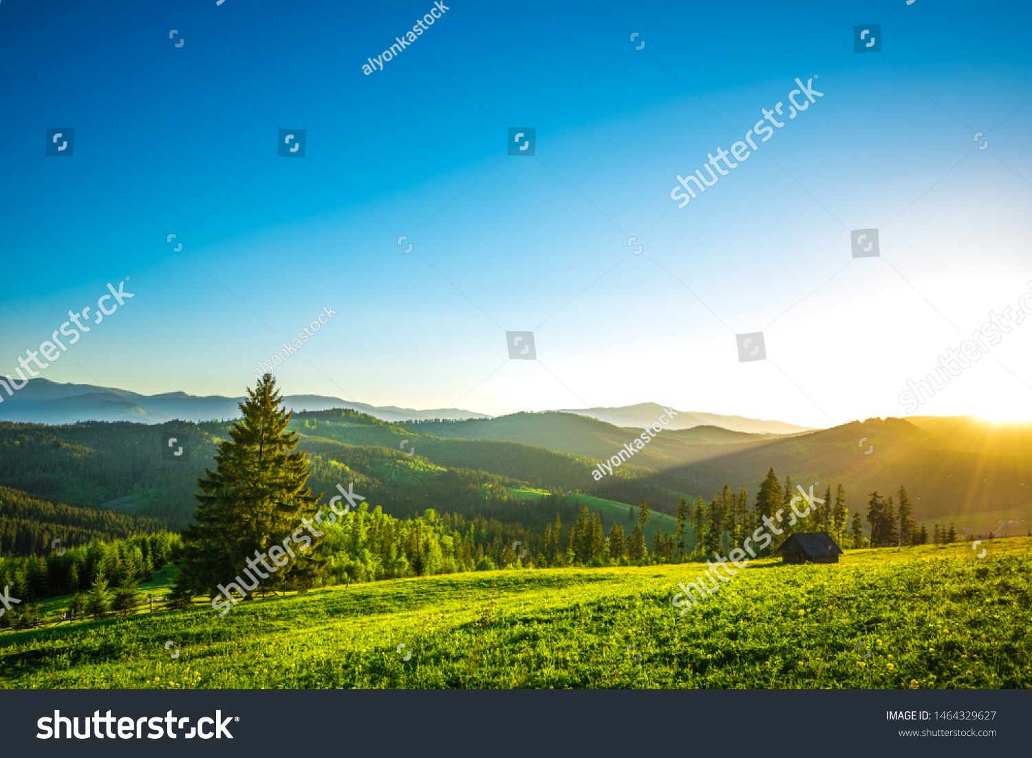Sunset on the meadow in the village Yablunitsa, Carpathians. #1464329627