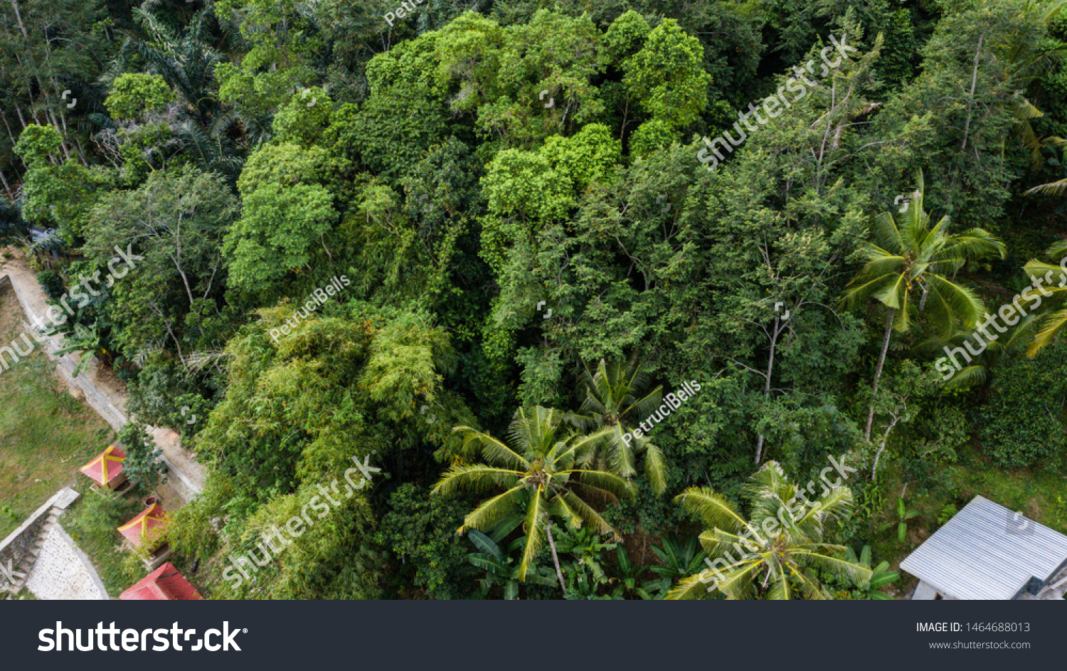 extensive forest in lombok indonesia #1464688013