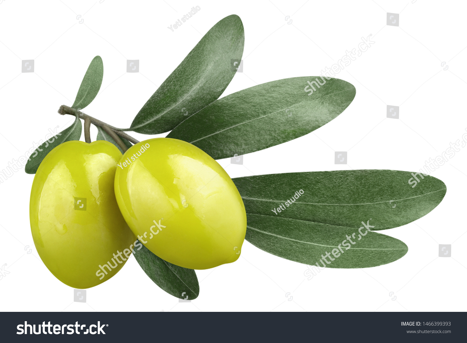 Olive branch with two delicious green olives, isolated on white background #1466399393