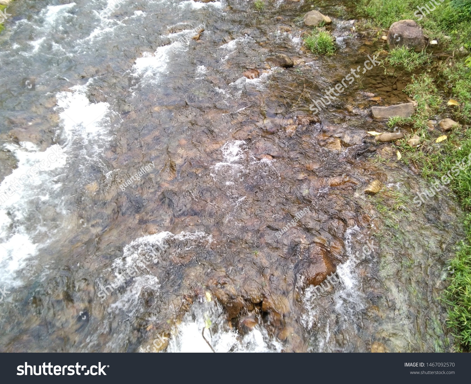 The water flow in the stream #1467092570
