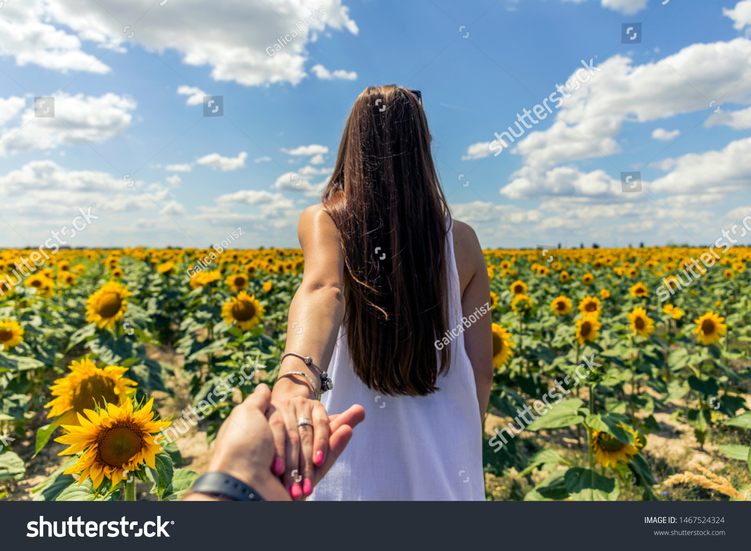 Beautiful brunett girl in white dress hand in hand with husband going to sunflowers field. #1467524324