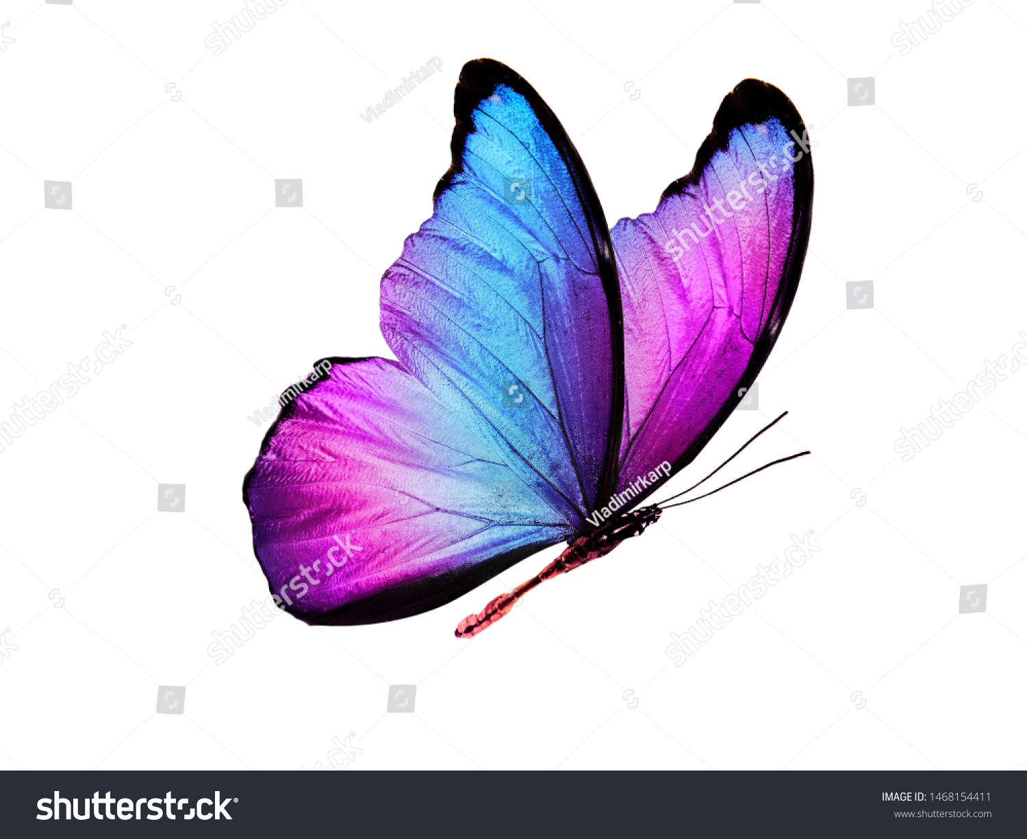 multicolored butterfly for design. isolated on white background #1468154411