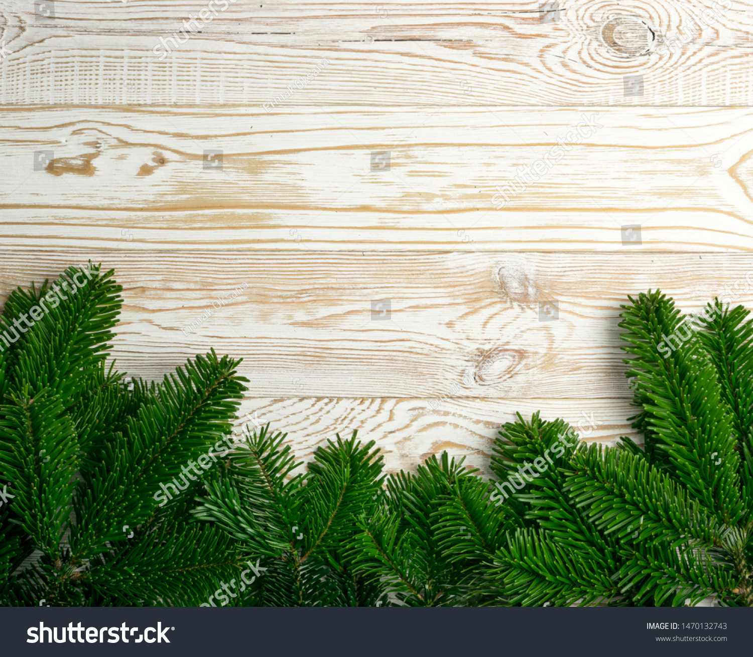 Natural green spruce twig on white background. Lush fir branches or pine twigs sprig texture top view #1470132743
