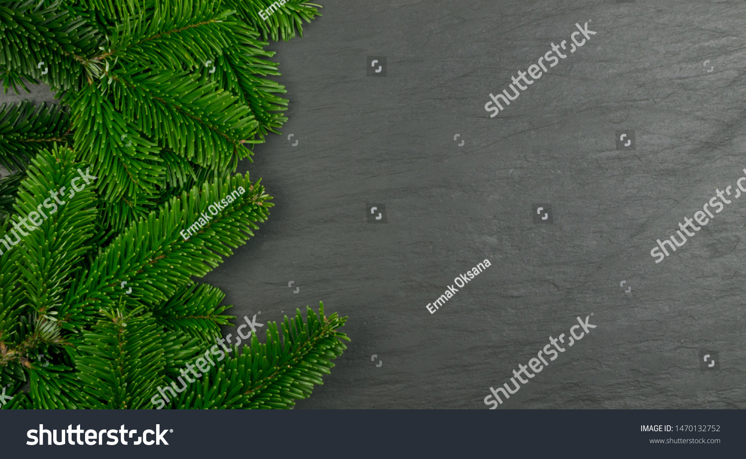Natural green spruce twig on white background. Lush fir branches or pine twigs sprig texture top view #1470132752
