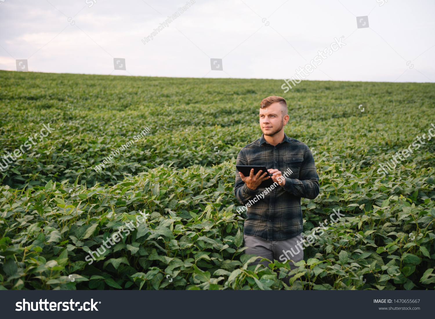 Agronomist inspecting soya bean crops growing in the farm field. Agriculture production concept. young agronomist examines soybean crop on field in summer. Farmer on soybean field #1470655667