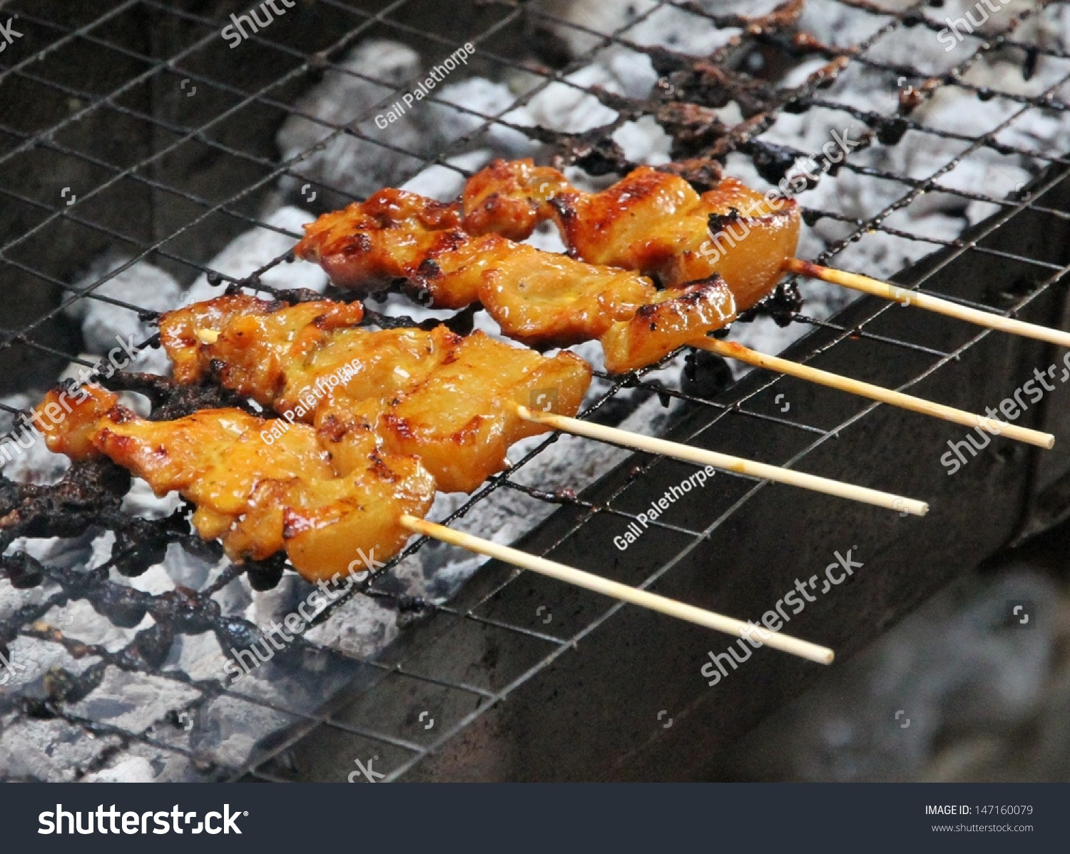 Chicken Satay Sticks #147160079